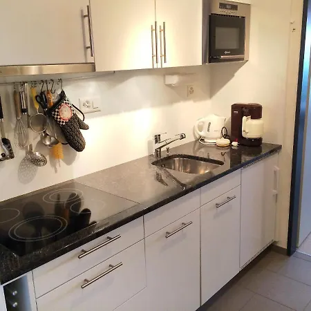 Apartment Utoring Acletta-63 By Interhome * Disentis