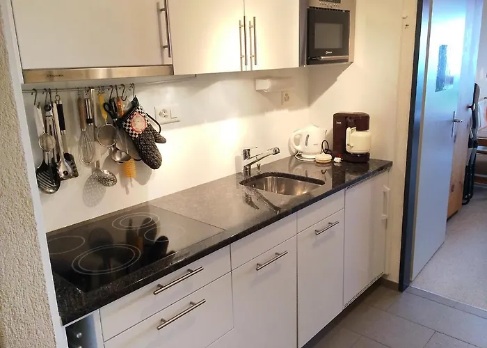 C 031 By Interhome * Disentis